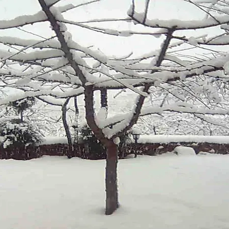 Beautiful In With Shared Pool 度假居 Laroya